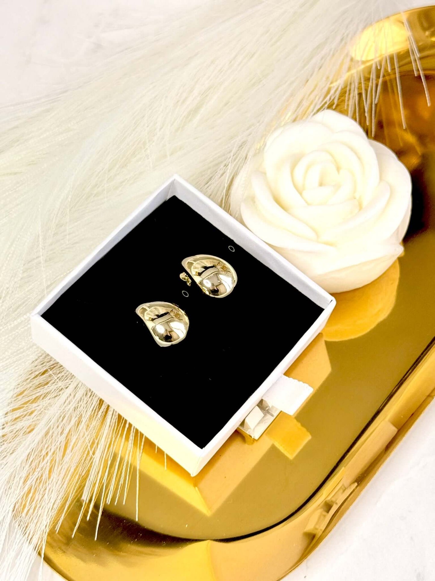 Boucles d'oreilles ULYS en Acier Inoxydable