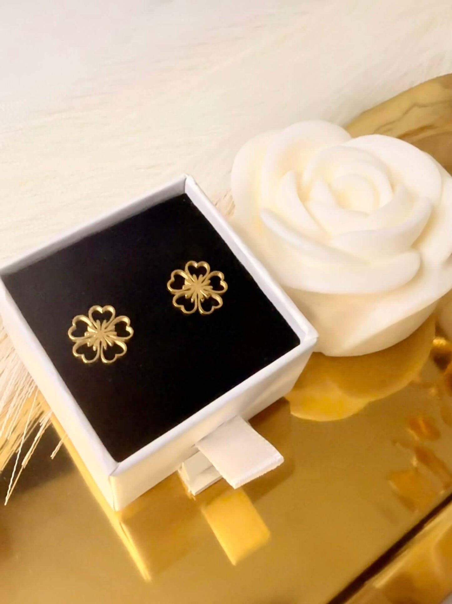 SHINY - Boucles d'oreilles en Acier Inoxydable