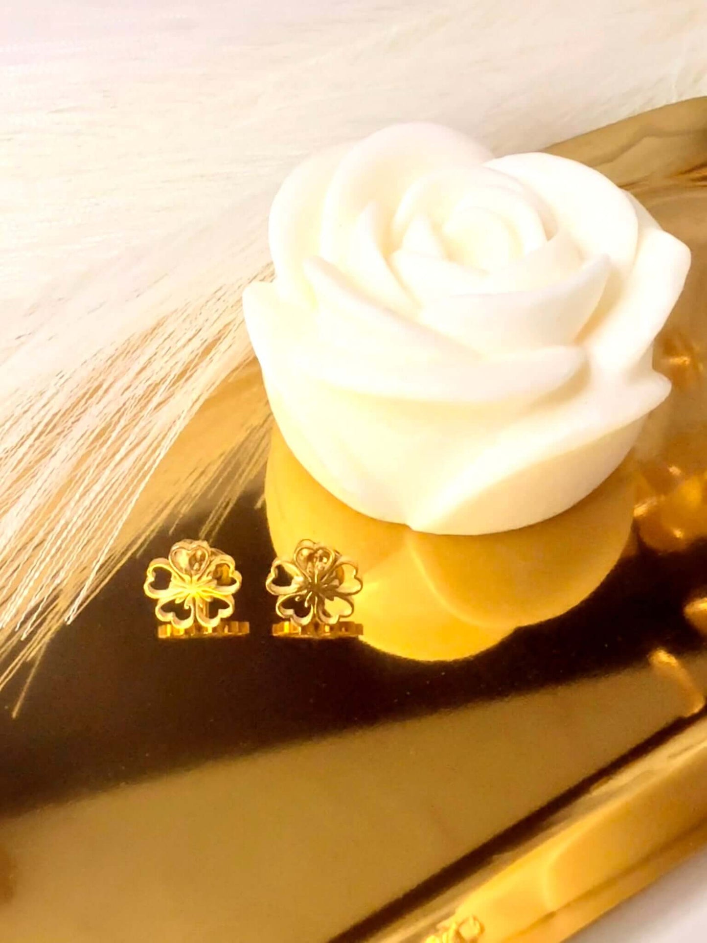SHINY - Boucles d'oreilles en Acier Inoxydable