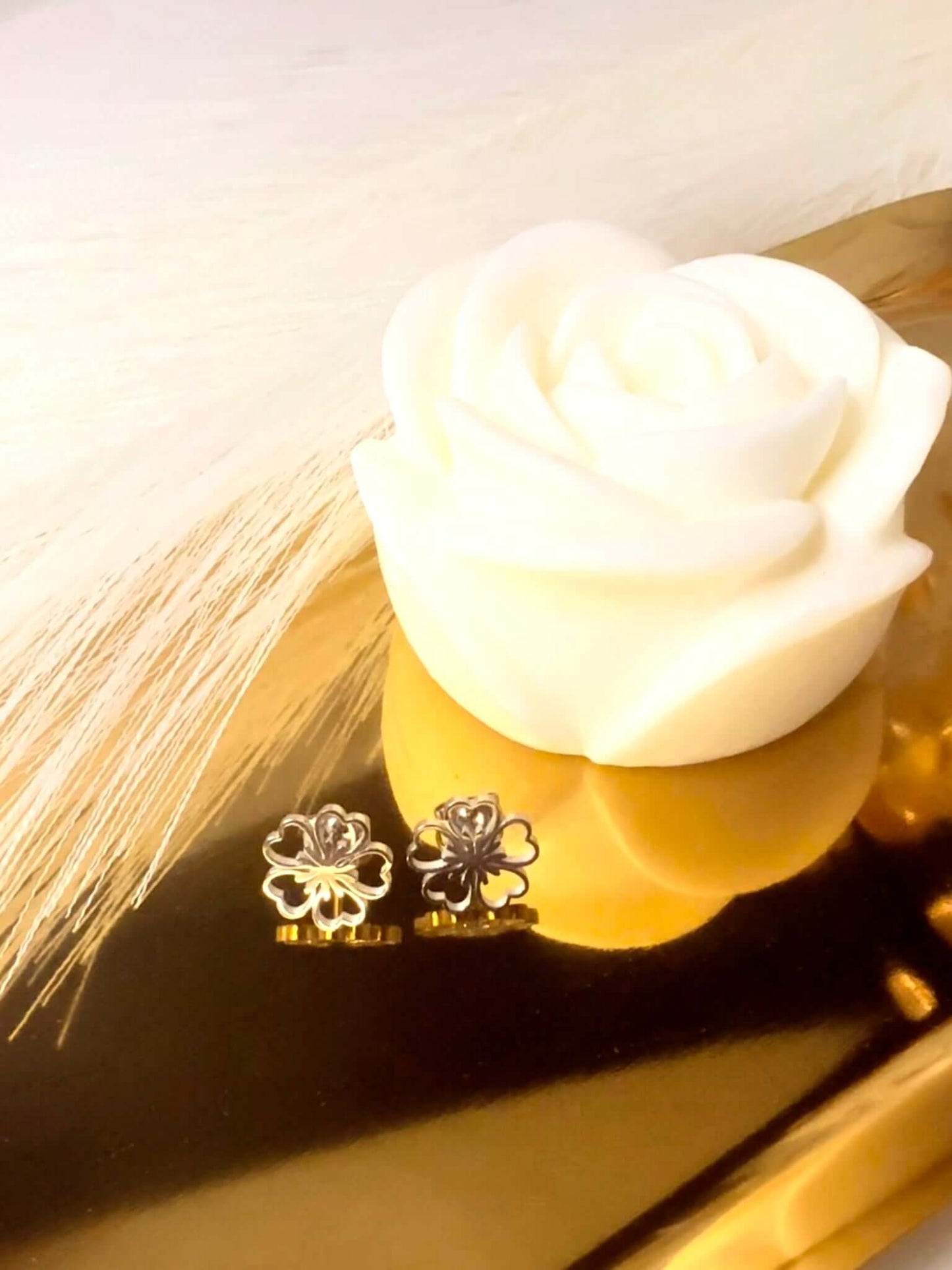SHINY - Boucles d'oreilles en Acier Inoxydable