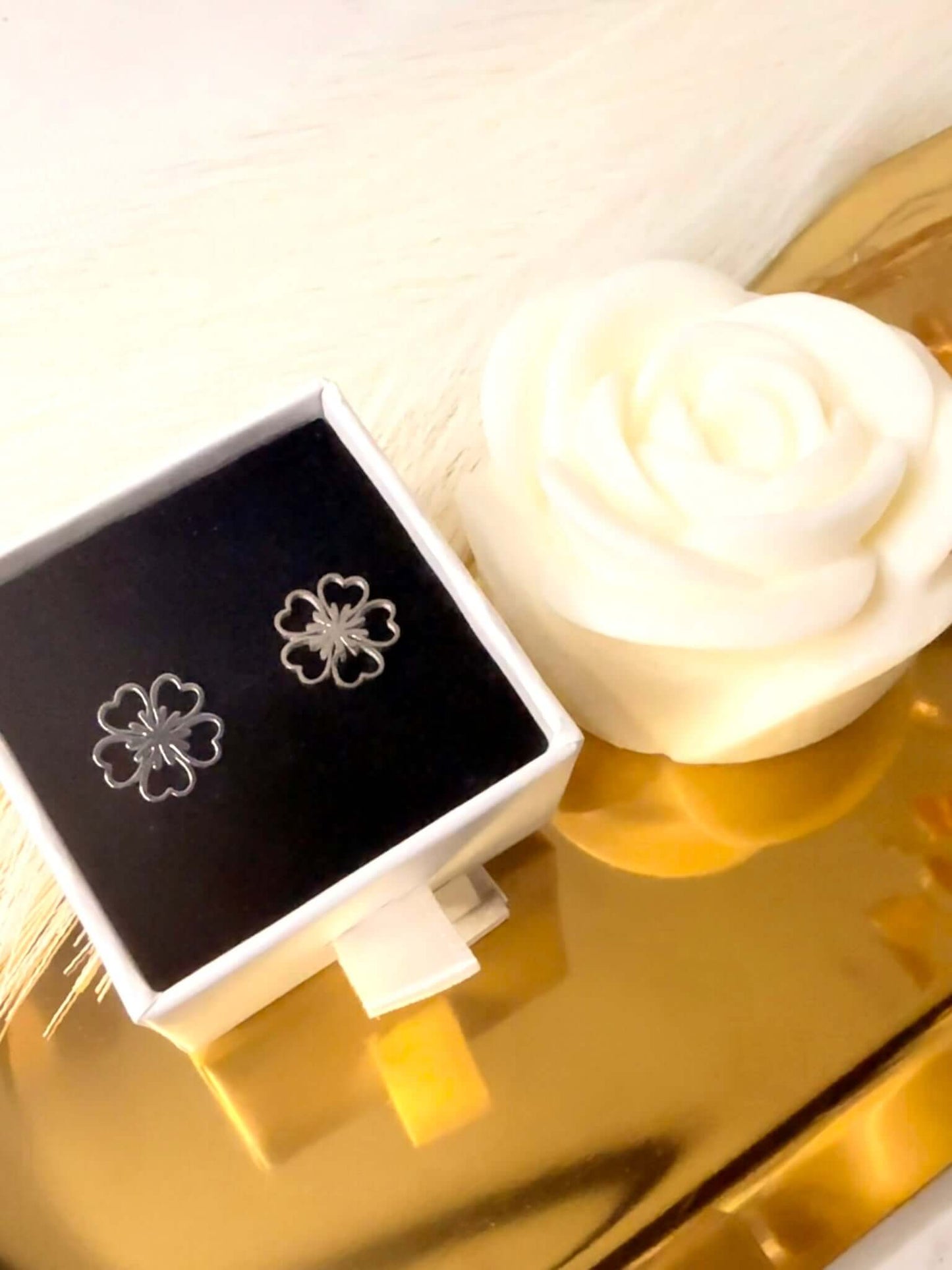 SHINY - Boucles d'oreilles en Acier Inoxydable