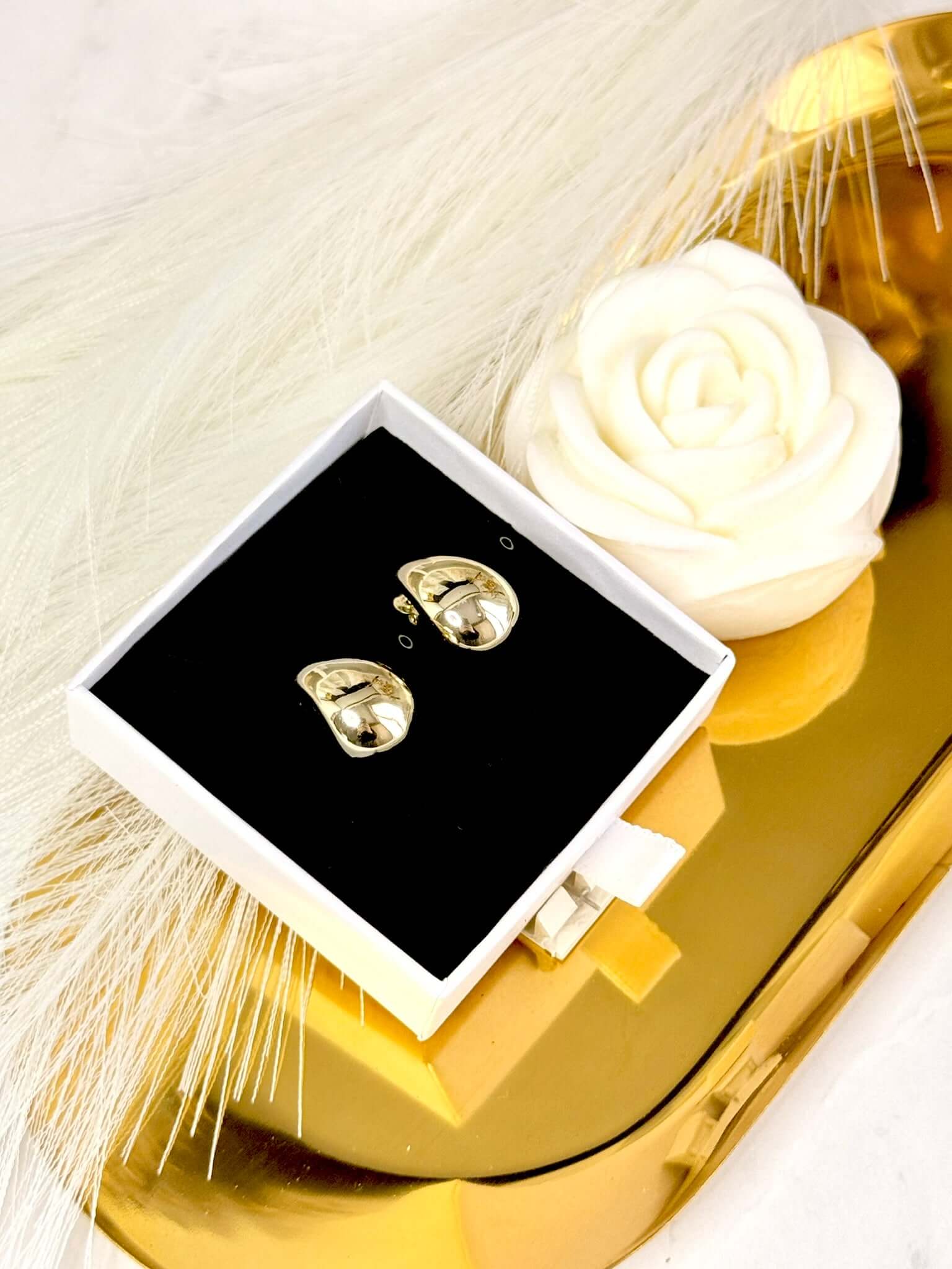 Boucles d'oreilles ULYS en Acier Inoxydable