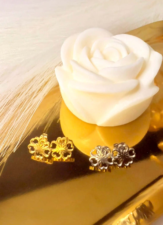 SHINY - Boucles d'oreilles en Acier Inoxydable